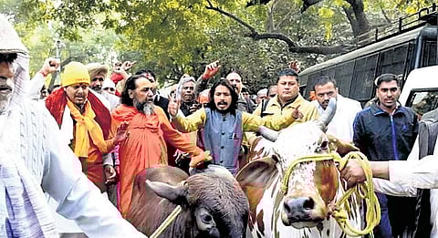 The price of pragmatism