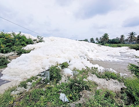 Foam blocked the stretch of road from Kelavarapalli to Thattiganapalli after water was released from the Kelavarapalli Dam