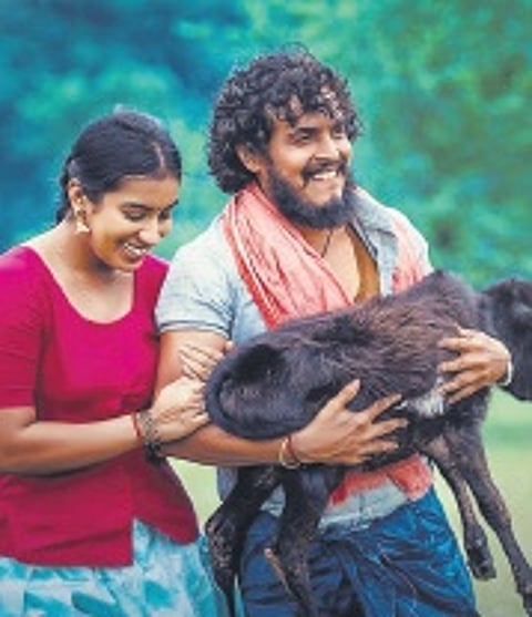 'Kerebete' and 'Venkya' to be screened at 55th IFFI 2024