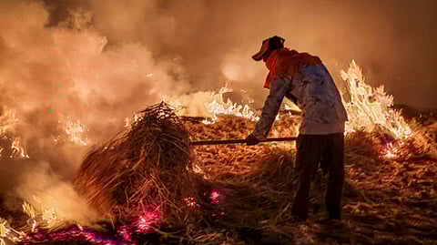 A farmer burning stubble after a harvest at a paddy field.