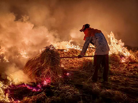 Amritsar: A farmer burns stubble after a harvest at a paddy field, on the outskirts of Amritsar, Tuesday, Oct. 22, 2024.