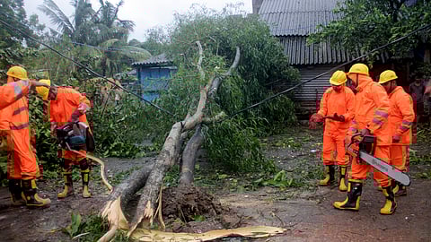 National Disaster Response Force (NDRF) personnel prepared to remove an uprooted tree blocking a road partially on the coast of the Bay of Bengal, where Tropical Storm Dana made landfall.