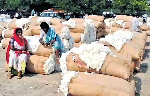 Cotton farmers at Enumamula Agricultural Market in Warangal