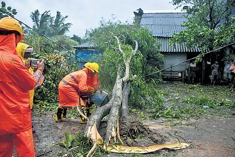 NDRF personnel clear a tree that fell on a house at Anantpur in Balasore