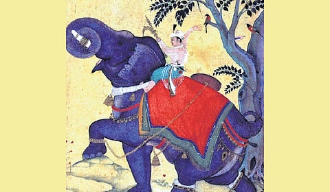 The elephant that was captured twice