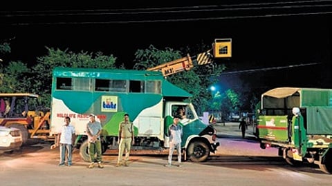 The special transport vehicle in which the tiger was brought to STR