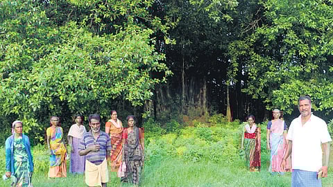 Residents gather at Vavvaal Thoppu (The Bat Grove) in Perambur village of Mayiladuthurai district, Tamil Nadu