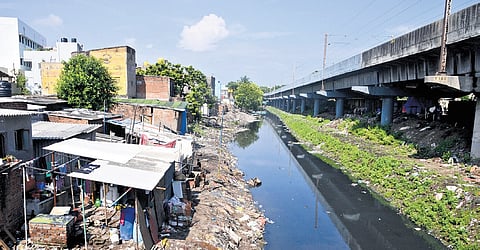 Around 18,000 encroachments need to be cleared to fully restore the Buckingham Canal.