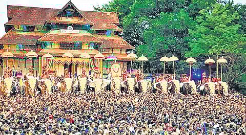 Cochin Devaswom Board urges devaswoms to find new waste disposal solutions for Thrissur Pooram