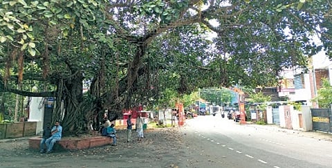 A royal title and some banana talk