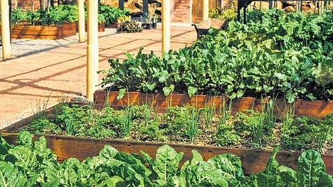 The magic land of creativity