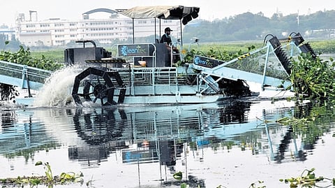 Representative picture