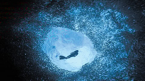 From the desk to the depths