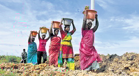 Rural Growth Rs 5,000 cr
MGNREGA Rs 50 cr
NTR Jalasiri