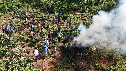 Drone visuals of cultivation of ganja in Degalarayi hamlet in Alluri Sitarama Raju.