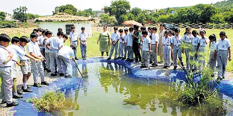 Children watching aquatic life at FSL