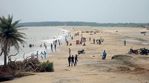 Activists demand ban on eco-retreat at Odisha's Pentha Beach to protect olive ridley turtles