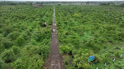 Sources said there are six forest ranges under the Tiruppur forest division, including Tiruppur, Kangeyam, Udumalaipet, Kozhumam, and Amaravathi.