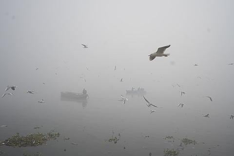 Gulls fly over the River Yamuna on a smoggy day, in New Delhi, Thursday, Nov. 14, 2024.