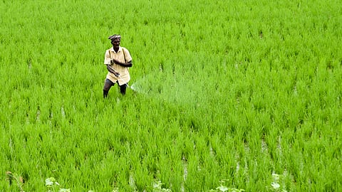 The Sanjukta Krushak Sangathan, a body of 15 farmer organisations across 12 blocks in the district, has accused private dealers of exploiting farmers during the crucial sowing season.