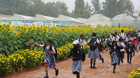 Image used for representational purposes only.