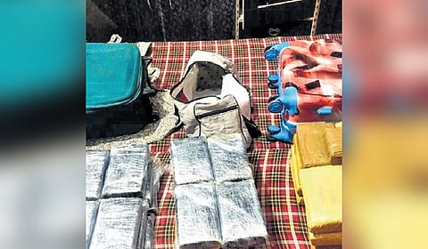 The recovered 82.53 Kg of high-grade cocaine