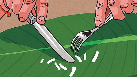 Uniting Hindus with pure food