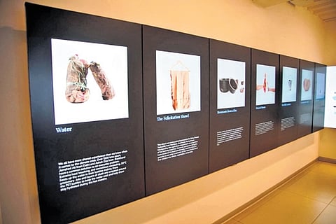 Museum of Art, Photography exhibition highlights real stories of those hit by climate disasters