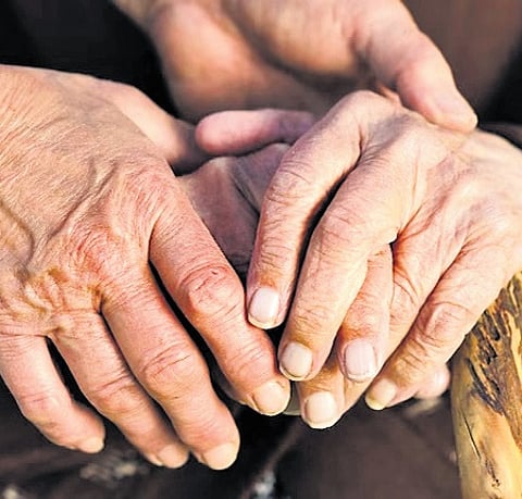 Creating a record: Over 65 lakh digital life certificates issued for pensioners