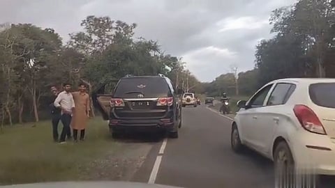 The trio had parked their car on the roadside and one of them went inside the forest, where a large number of spotted deer were grazing, while the other stayed to film the antics.