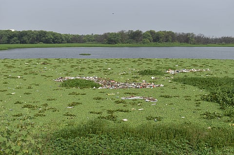 Image used for representational purposes