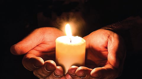 Protect your paw pal