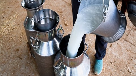 Milk powder plants will be set up with a capacity of 30 metric tonnes each at Dehri-On-Sone (Rohtas) and Sitamarhi districts.