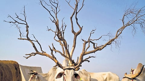 Uniting stories through photography