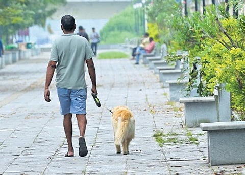 Representational image | T P Sooraj