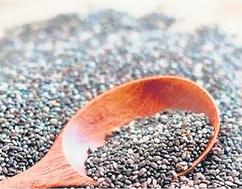 DRI flags smuggling of poppy seeds through Indian ports including Chennai, Thoothukudi