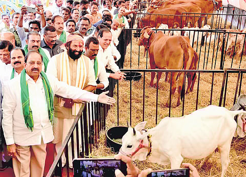 Ministers Uttam Kumar Reddy and Thummala Nageswara Rao review arrangements being made for ‘Rythu Pandanga’ in Mahbubnagar on Friday