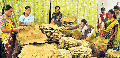 Tribal women making eco-friendly leaf plates and cups at the Van Dhan Vikas Kendra (VDVK) in Paderu of ASR dist
