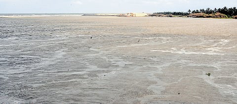 Photo | Martin Louis