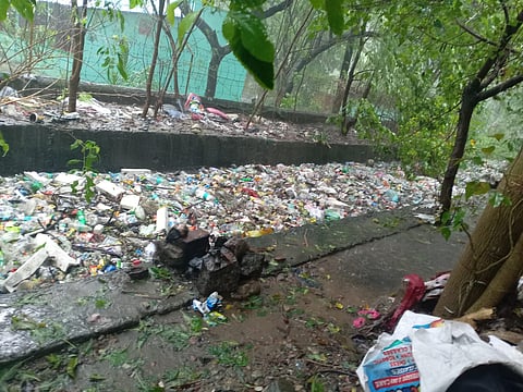 Almost every street in all 42 wards of the municipality has an empty space that has turned into a dumpyard and breeding ground for pigs, and stray dogs