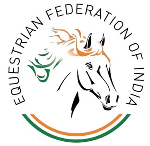 Logo of EFI