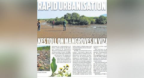 NGT takes suo motu cognisance of
decline in mangrove cover in Vizag