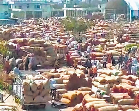 Long-awaited mega food park in Khammam district ready for launch today