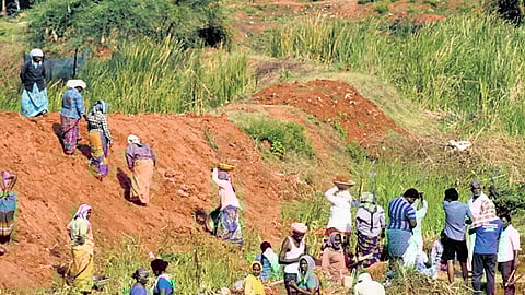 Citrus farming under MGNREGA empowers small farmers in Kadapa