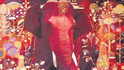 A fantastic trip with the ‘Elephant in the Room’