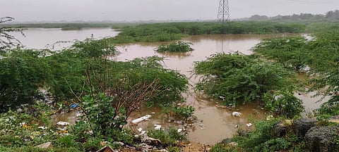 Pictures of a partially filled Annasagaram lake where overgrowths have been observed.