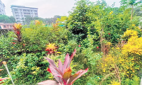 Dumpyard to dreams scape