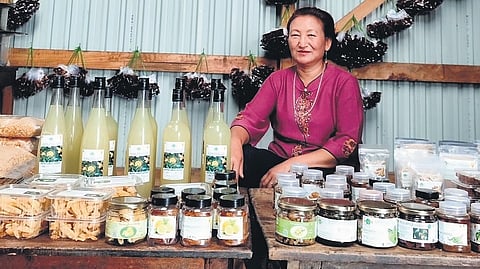 Yangmila Zimik