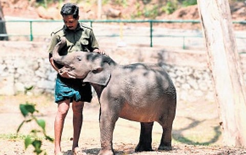 A serene nature’s bounty where history sleeps