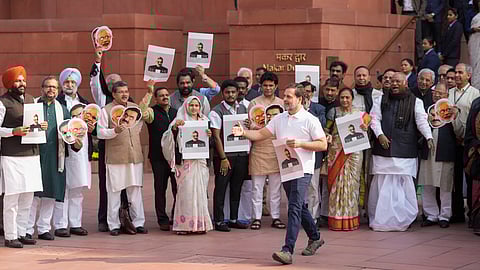 LoP in the Rajya Sabha Mallikarjun Kharge with LoP in the Lok Sabha Rahul Gandhi and other opposition MPs stages a protest over the Adani issue and Manipur unrest during the Winter session of Parliament, in New Delhi.